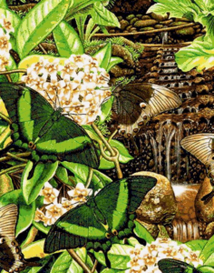 Бабочки6 - художник, lloyd-jones karen - предпросмотр