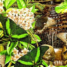 Схема вышивки «Бабочки6»