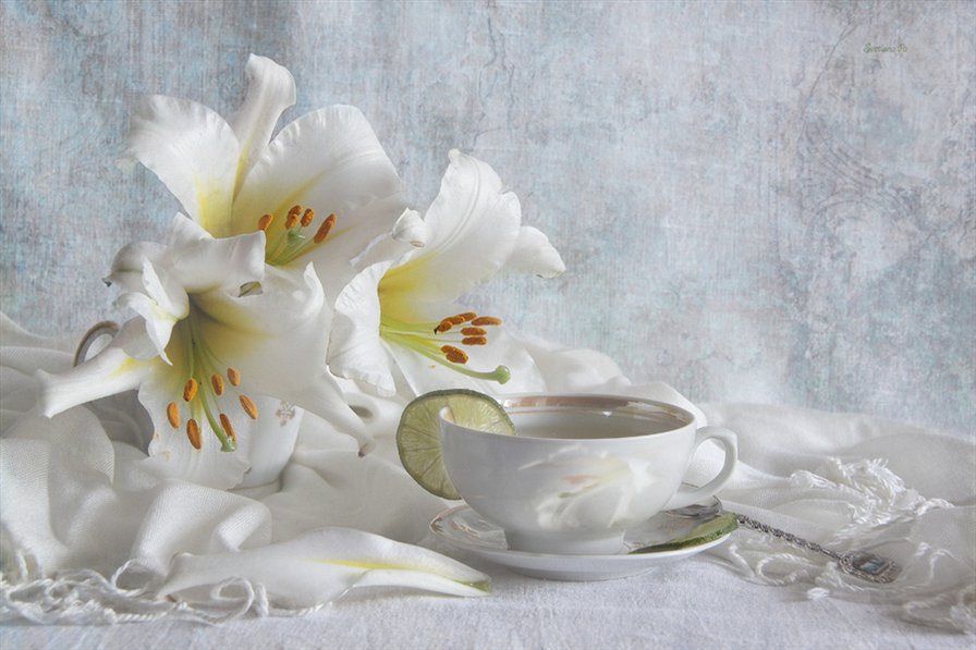 Белые лилии - картина, лилии, цветы, натюрморт, белые лилии - оригинал