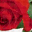 Предпросмотр схемы вышивки «розы» (№22628)