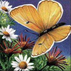 Серия "Бабочки" - подушка, букет, цветы, ромашки, бабочки - оригинал