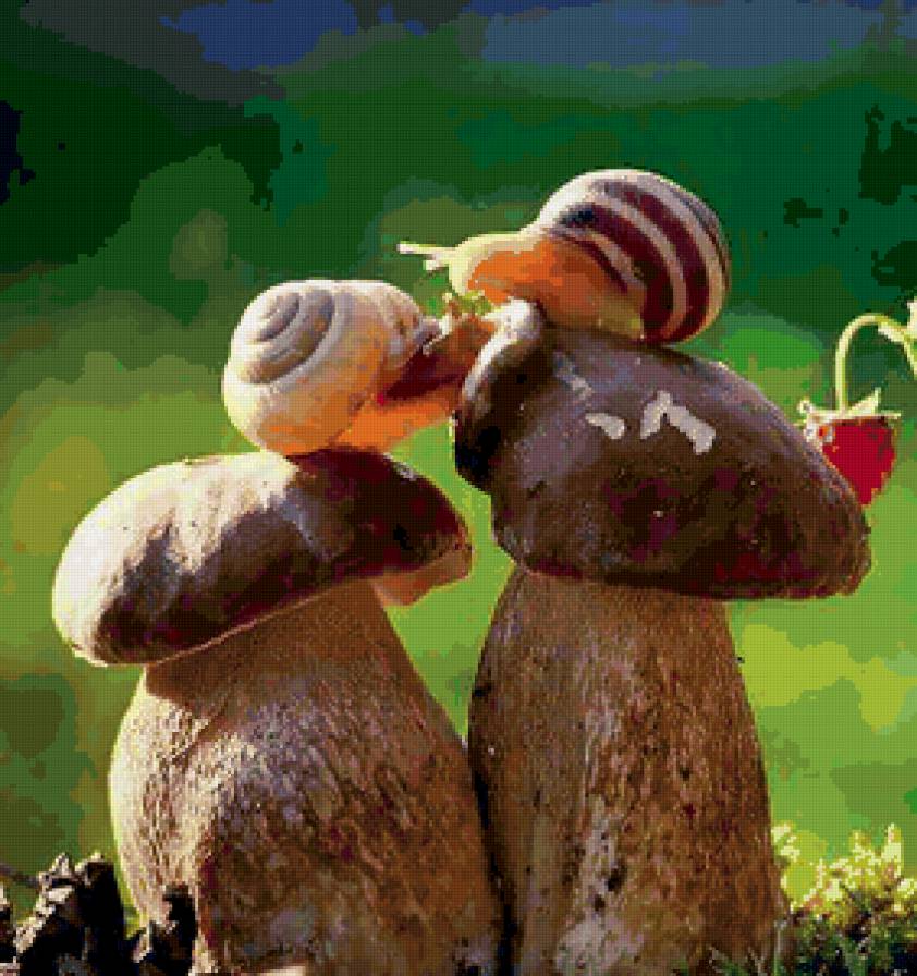 милые улитки )))) - улитка, любовь, улитки, пара, гриб, грибы - предпросмотр