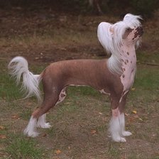 Схема вышивки «№23019»