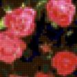 Предпросмотр схемы вышивки «плетистые розы» (№23085)