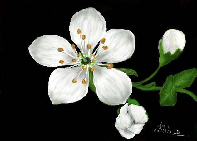 floare - оригинал