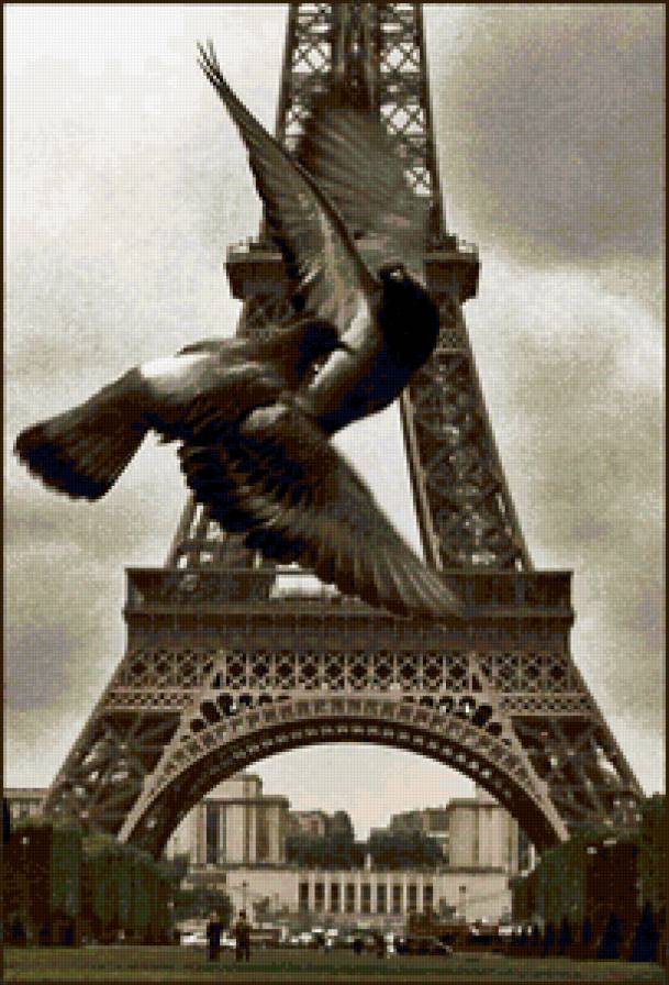 Париж - голуби, париж, город - предпросмотр