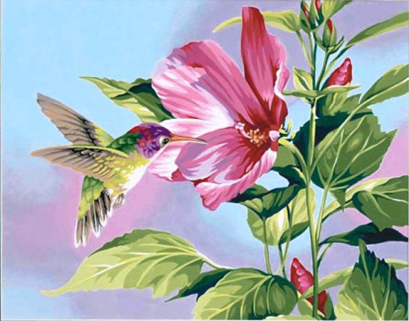 Колибри с цветком мальвы - мальва, колибри, птичка, цветок, порхает - оригинал