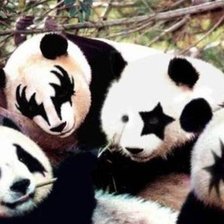 Схема вышивки «панды Kiss»