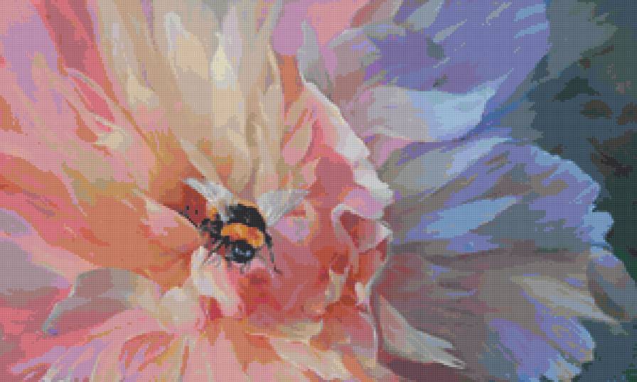 Шмель на цветке - розовый, шмель, цветок - предпросмотр