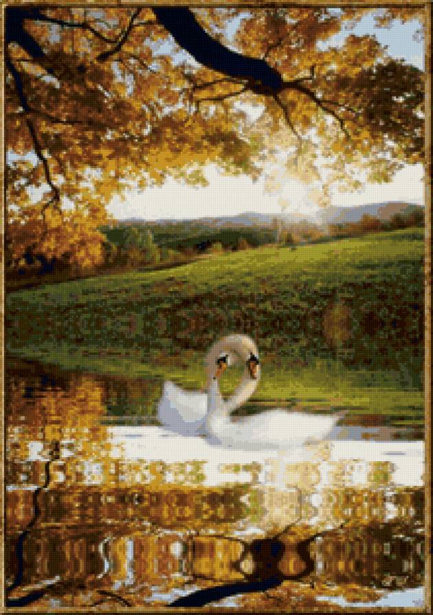 Лебеди осенью - осень, лебеди, пара, любовь, вода - предпросмотр