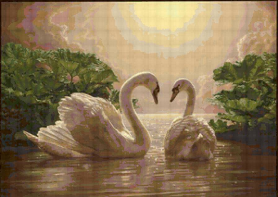 Пара лебедей - лебеди, пара, птицы, вода, любовь - предпросмотр