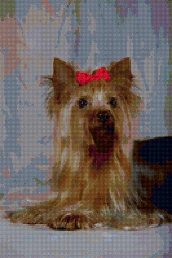 Пес - собаки - предпросмотр