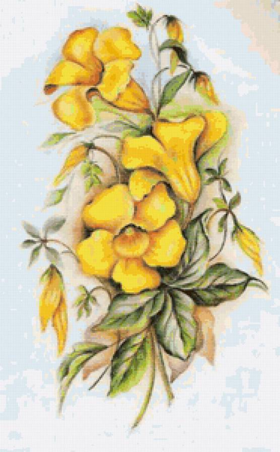 №24011 - цветы - предпросмотр