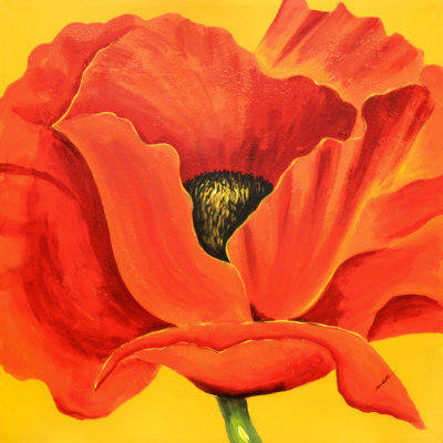 Мак) - мак, flowers, цветы - оригинал