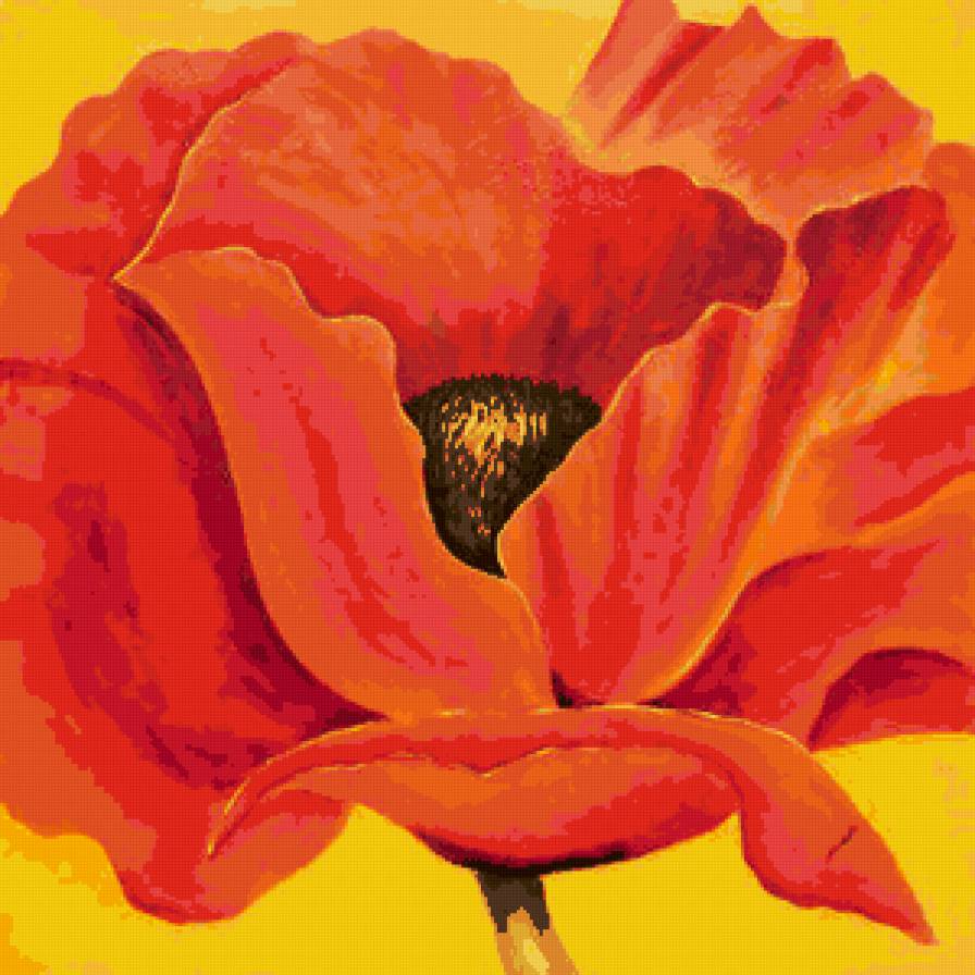 Мак) - цветы, мак, flowers - предпросмотр