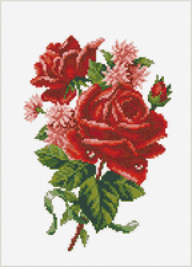 Розы - розы, цветы - предпросмотр