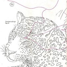 Оригинал схемы вышивки «леопард» (№24359)