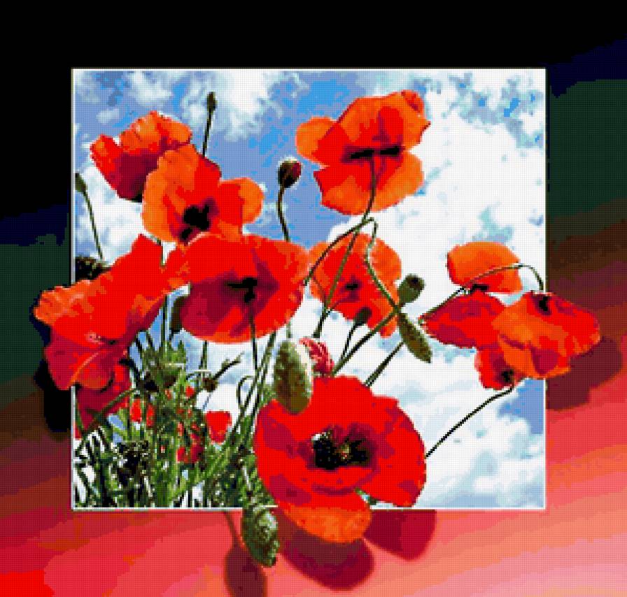 Маки - маки, цветы - предпросмотр