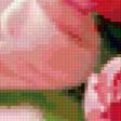 Предпросмотр схемы вышивки «цветы» (№24995)