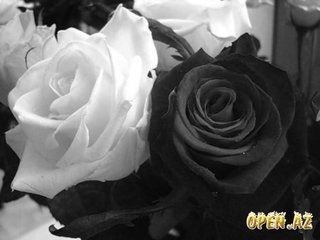 Розы - черно-белое, розы - оригинал