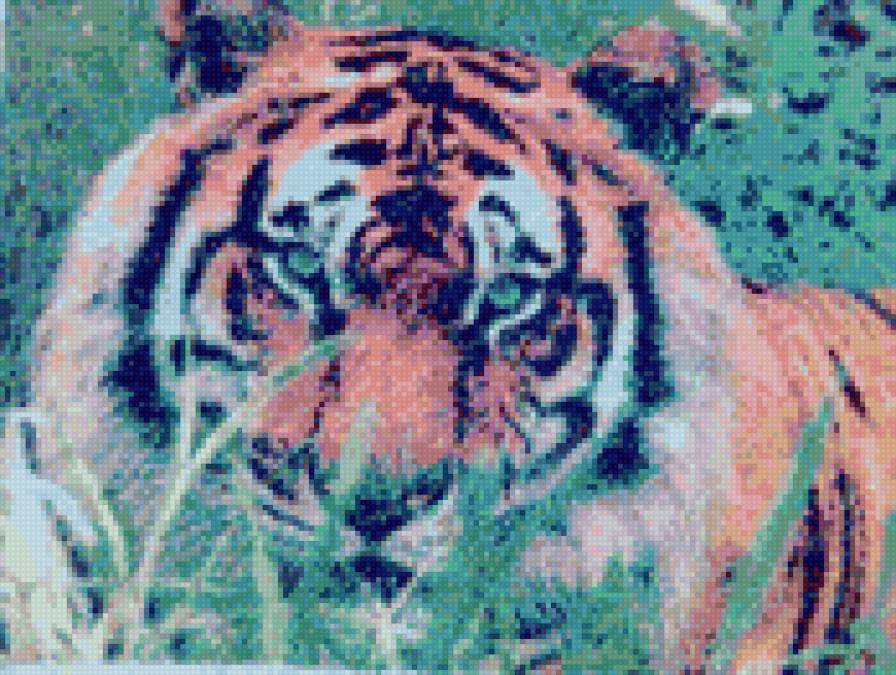 Тигр - тигр - предпросмотр