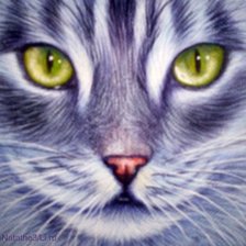 Схема вышивки «№25035»