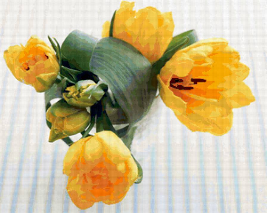 желтые тюльпаны - тюльпаны, цветы - предпросмотр
