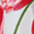 Предпросмотр схемы вышивки «тюльпаны» (№25404)