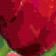 Предпросмотр схемы вышивки «букет тюльпанов» (№25453)