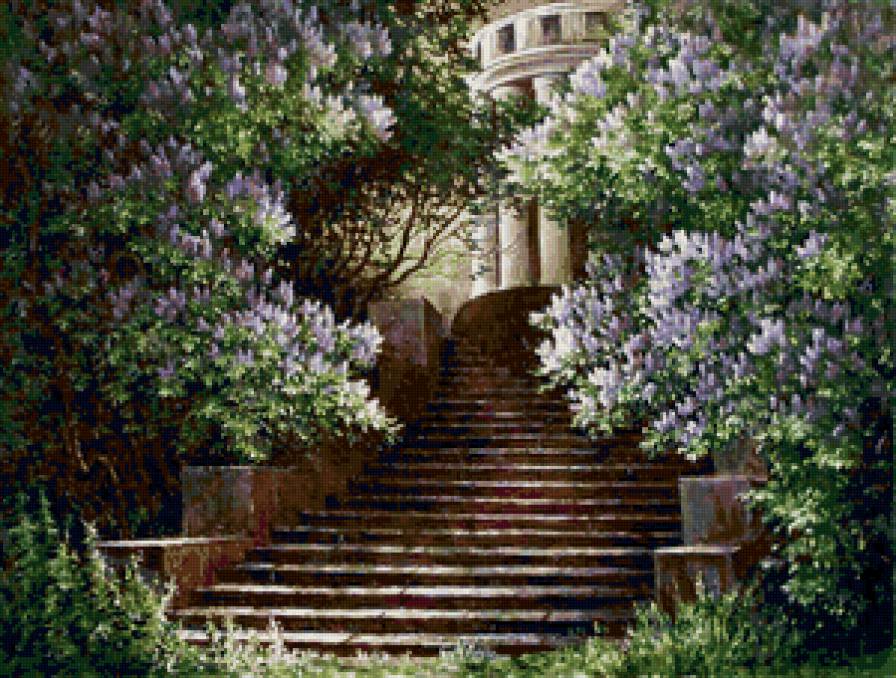 сирень - предпросмотр