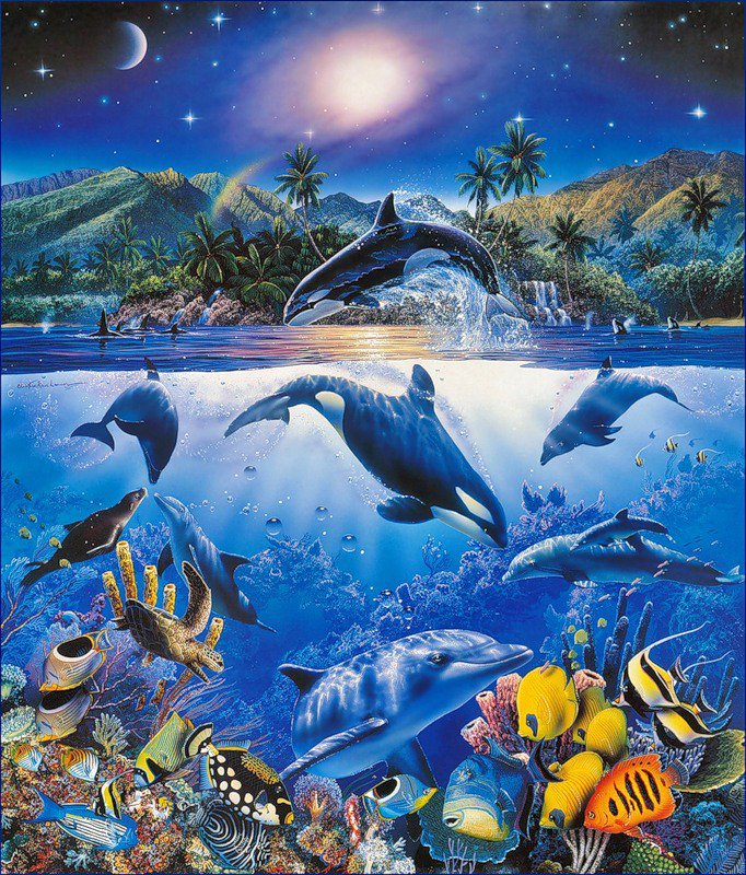 №25630 - дельфины, вода, рисунок, рыбы - оригинал