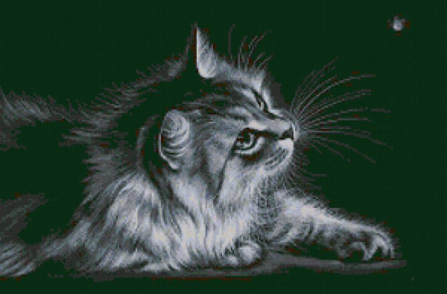 киса - животные - предпросмотр