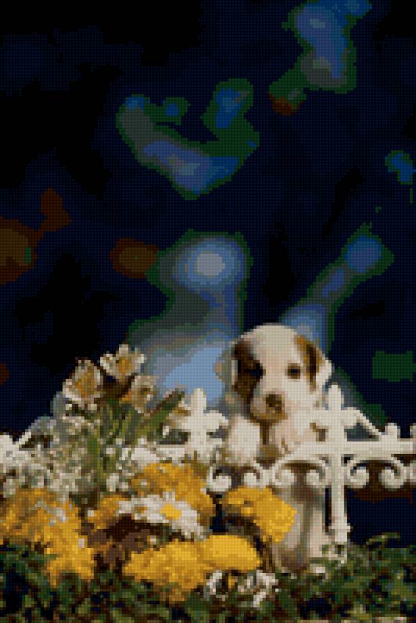 №26325 - собаки - предпросмотр