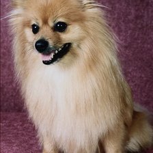 Схема вышивки «№26340»