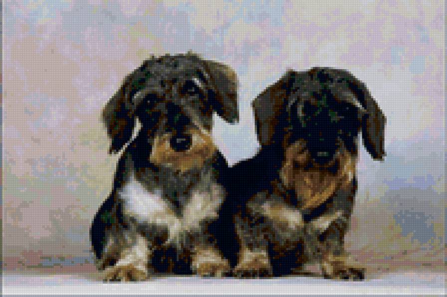 №26442 - собаки - предпросмотр