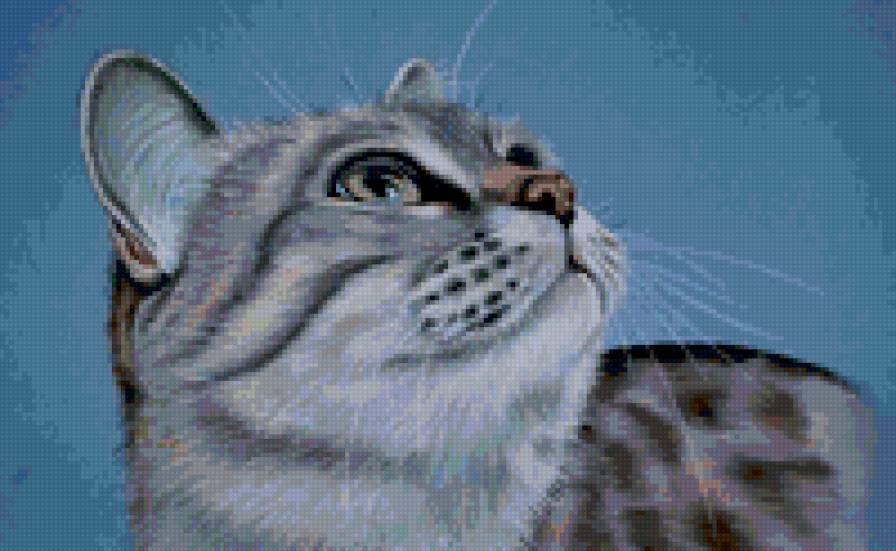 Киса - кот - предпросмотр