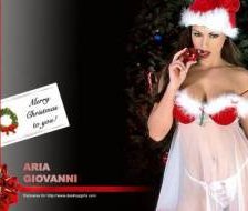 Схема вышивки «снегурочка»