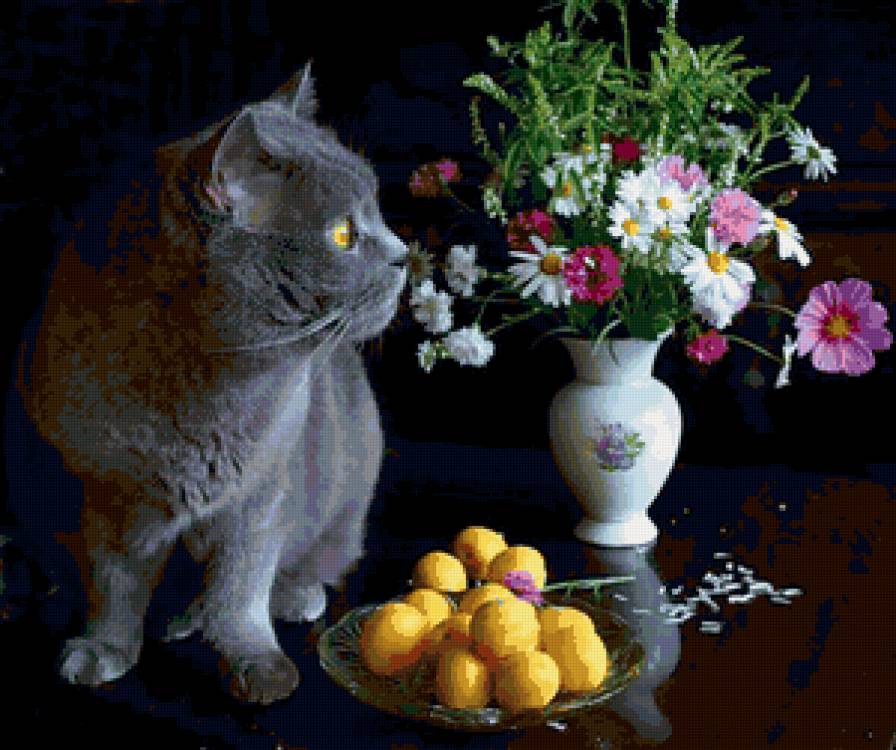 №26705 - предпросмотр