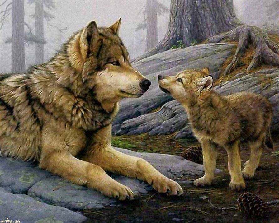 0006 - животные, волки, красота, живопись, картина - оригинал