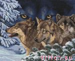 Волчий взгляд - волк - оригинал