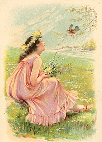 Пожелание - цветы, девушка, птицы, пейзаж - оригинал