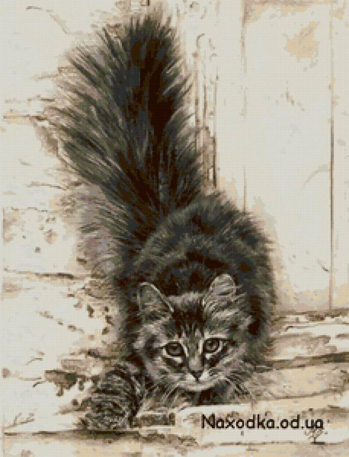 кот - кот, животные, глаза - предпросмотр