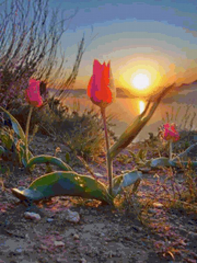 №27533 - предпросмотр