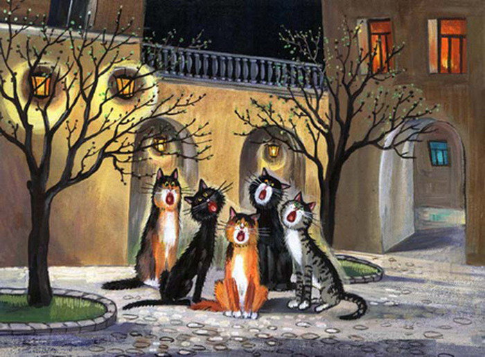 пение котов - коты в окошках - оригинал