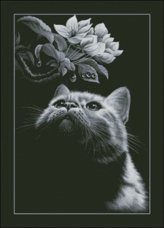 Кот и цветы - живопись, животные, монохром, коты - оригинал
