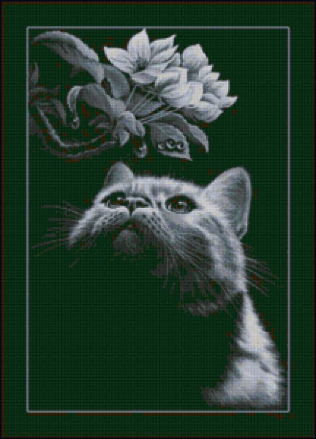 Кот и цветы - живопись, животные, монохром, коты - предпросмотр