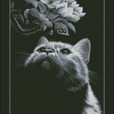 Оригинал схемы вышивки «Кот и цветы» (№27924)