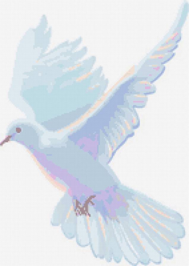 голубь - птица - предпросмотр