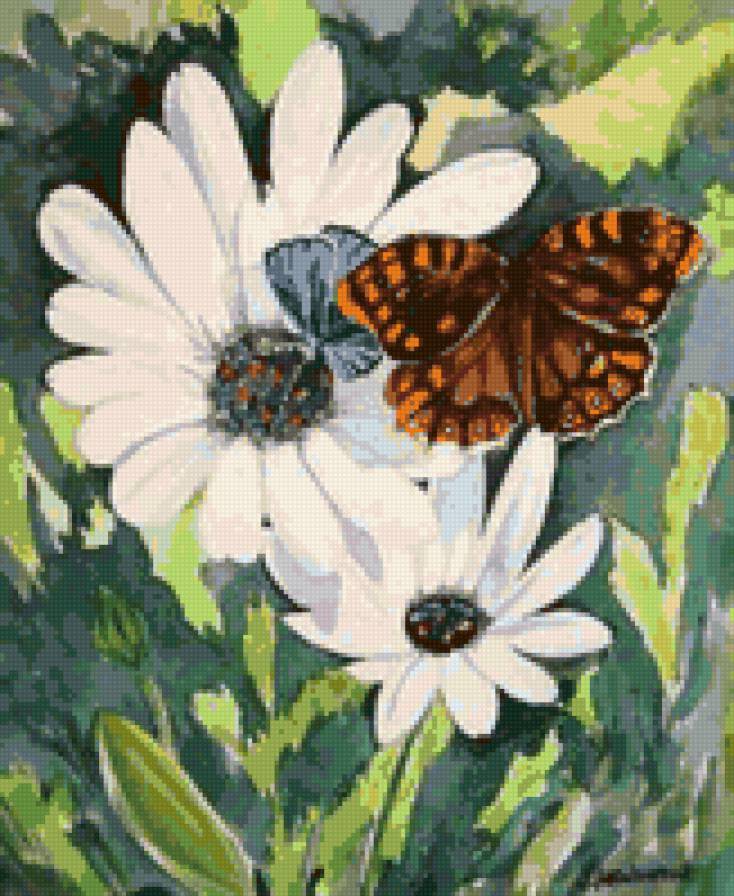 Ромашка и бабочка - цветы и бабочки, ромашка, бабочка, ромашки, цветы, флора - предпросмотр