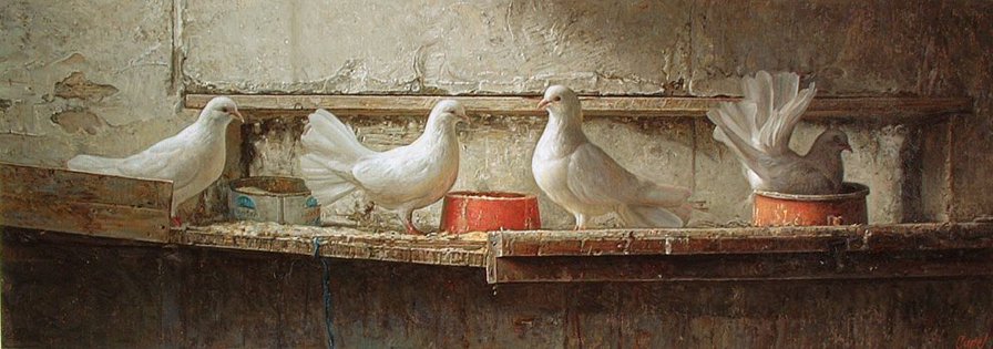голуби - живопись, птицы, картина - оригинал